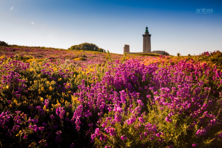 Le Cap Fréhel –  La baie de Saint-Brieuc – Plévenon, Côtes-d’ A la découverte du Cap de Fréhel en Bretagne