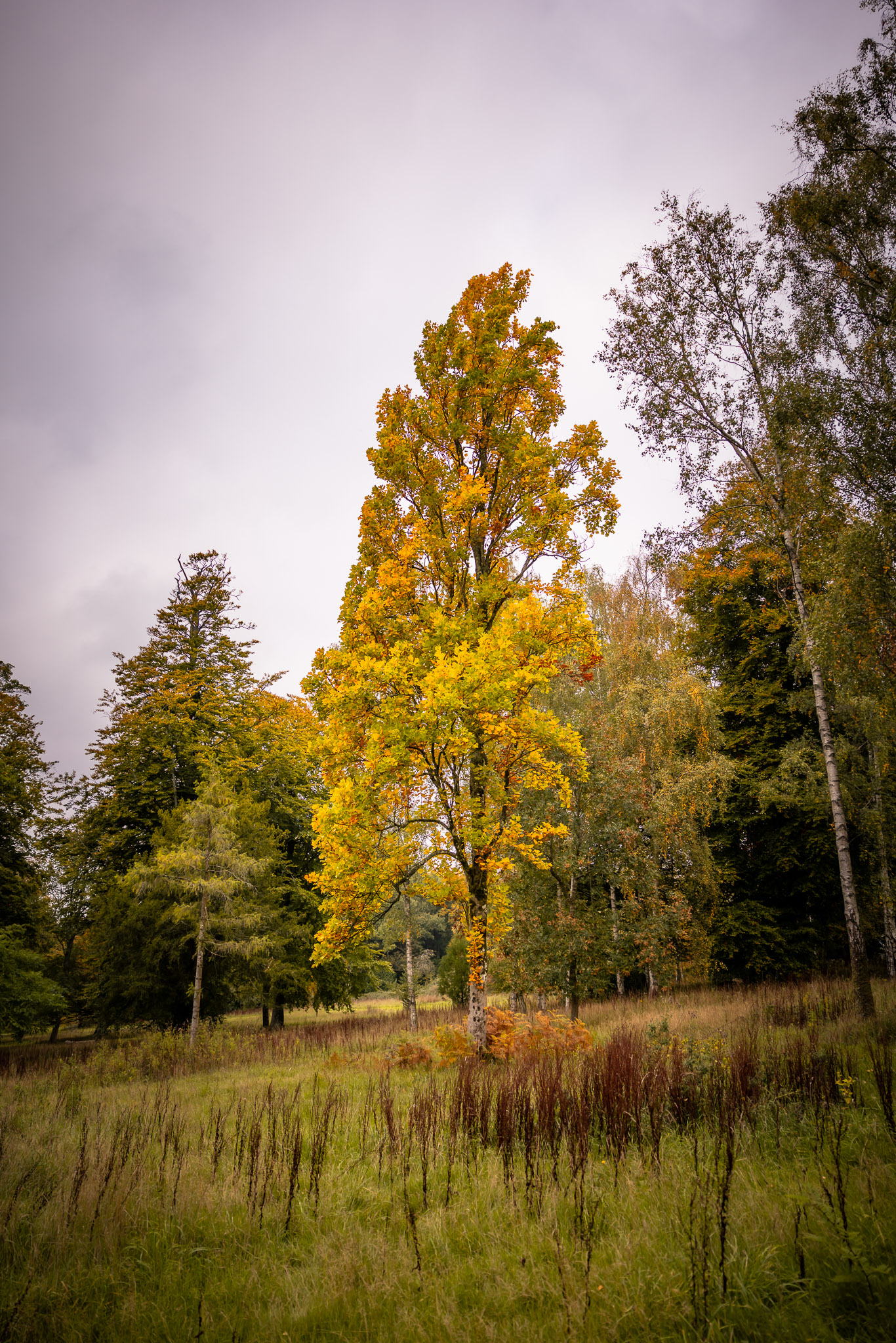 Photographe de paysages d'automne © Sabina Dumont @anibasphotography Photographe de paysages d'automne
