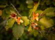 Photographe de paysages d'automne